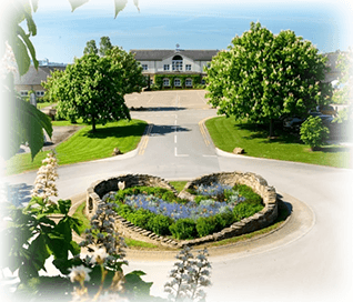 The Pavilions of Harrogate and gardens